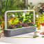 Click & Grow Click & Grow Smart Garden 9 Indoor Gardening Kit - Grey