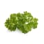 Detail image of Click & Grow Parsley Seed Pod Refill for Smart Garden, Pack of 3