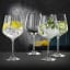 Nachtmann Gin and Tonic Glasses, Set 4, lifestyle