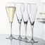 Spiegelau Willsberger Anniversary Champagne Glasses, Set of 4 on the table