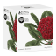 Maxwell & Williams Royal Botanic Garden Mug, 300ml Telopia