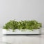 Action image of Chef'n Microgreen Grower Kit