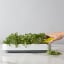 Action image of Chef'n Microgreen Grower Kit