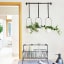 Lifestyle image of Umbra Triflora Hanging Planter