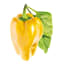 Detail image of Click & Grow Yellow Sweet Pepper Seed Pod Refill for Smart Garden, Pack of 3