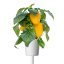 Lifestyle image of Click & Grow Yellow Sweet Pepper Seed Pod Refill for Smart Garden, Pack of 3