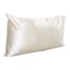Pack Shot image of Rawb Premium Collection Satin Standard Pillowcase