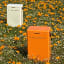 Fieldbar Drinks Cooler Box, 10L - Orchard Orange in the field with a Safari White fieldbar