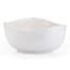 Pack Shot image of Carrol Boyes Organic Soup or Cereal Bowls, Set of 4