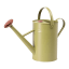 Good Roots Watering Can, 4.5L Light Olive