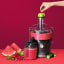 Nutribullet Juice Extractor, 800W lifestyle in use