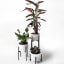 Native Decor Trio Metal Planters, Set of 3 in use 