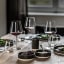 Schott Zwiezel Vervino Allround Stemmed Wine Glasses, Set of 2  in use