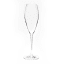 Pack Shot image of JAN Crystal Champagne Glasses, Set of 4