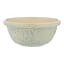 Mason Cash Nautical Turtle Mixing Bowl, 24cm - Light Blue product shot 