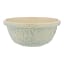 Mason Cash Nautical Turtle Mixing Bowl, 24cm - Light Blue product shot 