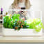 Click & Grow Smart Garden 9 Pro Indoor Gardening Kit in use 