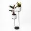 Native Decor Matte Black U-Planter Product In Use 