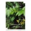 Charlotte Rhys Under the Leaves Fragrance Sachet, 10g Product Image 