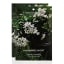 Charlotte Rhys Spring Flowers Fragrance Sachet, 10g Product Images 