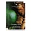 Charlotte Rhys  Keylime & Ginger Fragrance Sachet, 10g Product Image 