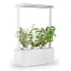 MicroGarden Hydroponic Smart Garden 3 in use wit hplants