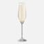 Yuppiechef Classic Champagne Flute