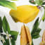 DSA Botanica Lemon Tablecloth - 6 Seater close up