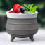 Sengetti Medium Potjie Pot  - Charcoal with berries and mint