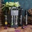 Willow Creek Flavoured Extra Virgin Olive Oil Gift Set, 2 Pack with other bottles