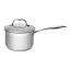 Sagenwolf Silver Series Stainless Steel Saucepan with Glass Lid, 16cm