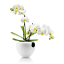 Eva Solo Self-Watering Orchid Pot - white