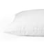 Thread Office Premium Hypoallergenic Microfibre Pillow Inner - Standard close up of piping