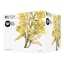 Maxwell & Williams Royal Botanic Gardens Orchids Mug, 350ml - Yellow packaging