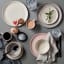 Maxwell & Williams Palette Dinner, Set of 12 - Cream on the table with other colours