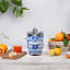 Smeg Blu Mediterraneo Dolce & Gabbana Electric Citrus Juicer in a Kitchen Setting 