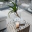 Thread Office Clear Glass Vase