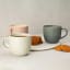 Salisbury & Co Collective Speckled Mug, 400ml