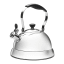 Sagenwolf Stainless Steel Stovetop Kettle, 3L