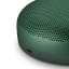 Bang & Olufsen Beosound A1 2nd Gen Portable Speaker - Green detail