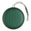 Bang & Olufsen Beosound A1 2nd Gen Portable Speaker - Green angle