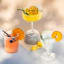 Schoonbee Landgoed Dried Lemon Slices, 100g in cocktail glasses