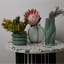 Thread Office Green Stripe Round Vase on side table with flowers and other vases