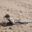 Sunnylife Reclining Beach Chair - The Vacay Olive on beach sand