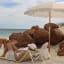 Sunnylife Beach Umbrella - Mango Bay Golden Mustard Stripe at the beach