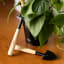 Gentlemens Hardware Mini Gardening Tools with a plant on the table