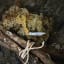 Gentlemens Hardware Key Pocket Knife pm the ground