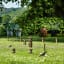 Moments Of Play Kubb on the lawn