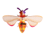 Studio ROOF Honey Bee Wall Decor
