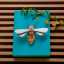 Studio ROOF Honey Bee Wall Decor on a book